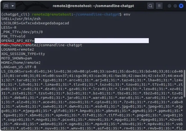 Verify environment variable